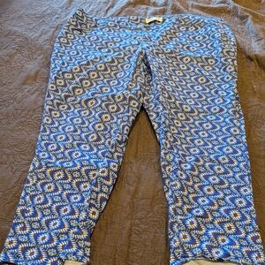 Coldwater Creek Blue Geometric Patterned Skinny Ankle Jeans Size 18